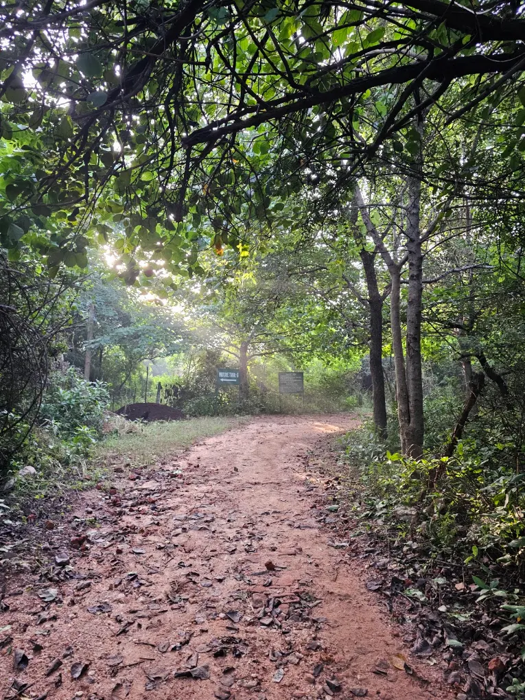 Aravalli Biodiversity Park, photo 4 of 6