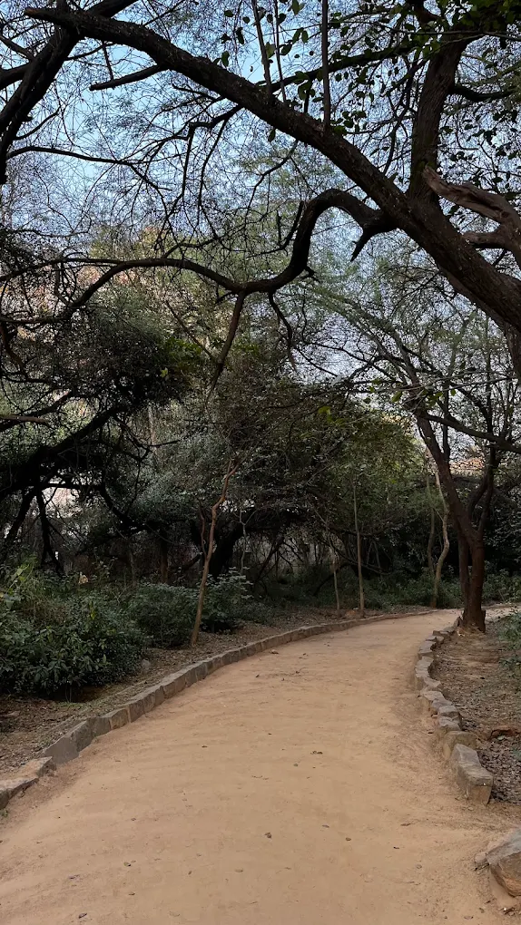 Sanjay Van Park, photo 1 of 5