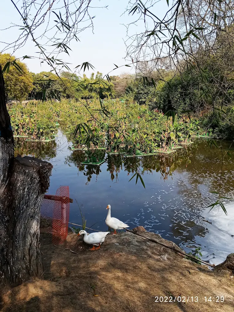 Sanjay Van Park, photo 2 of 5