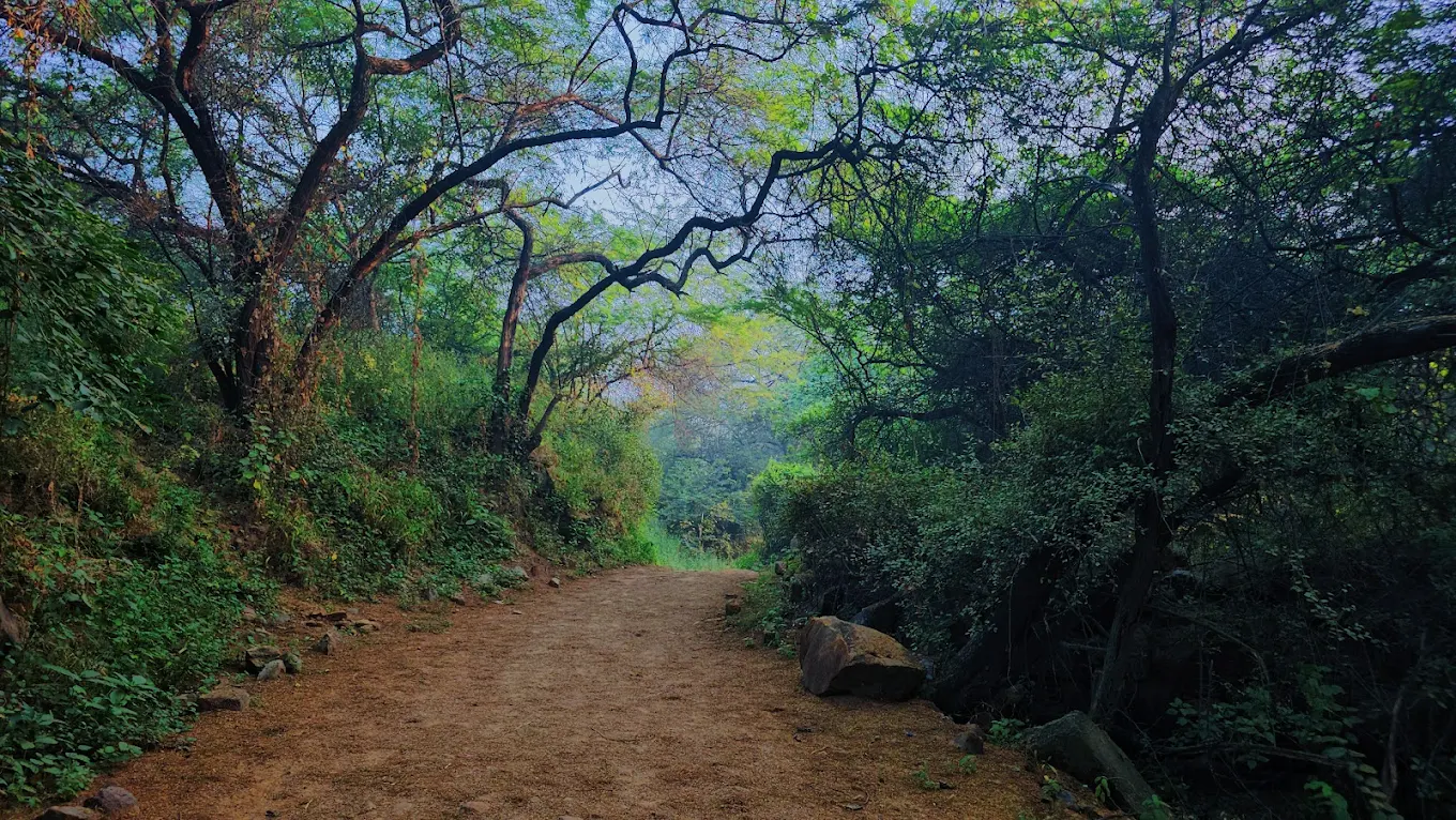 Sanjay Van Park, photo 4 of 5