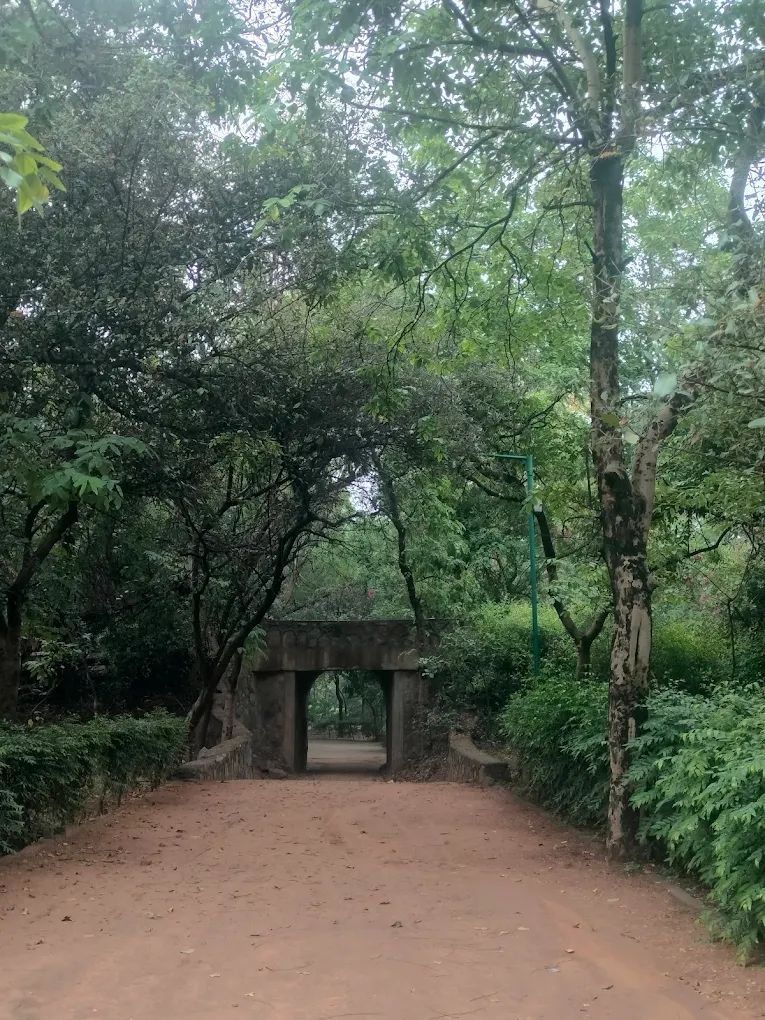 Jahanpanah City Forest, photo 2 of 8