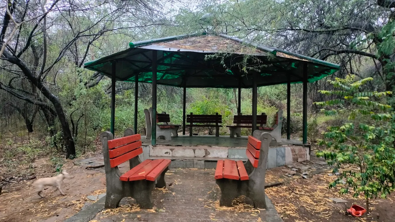 Jahanpanah City Forest, photo 3 of 8