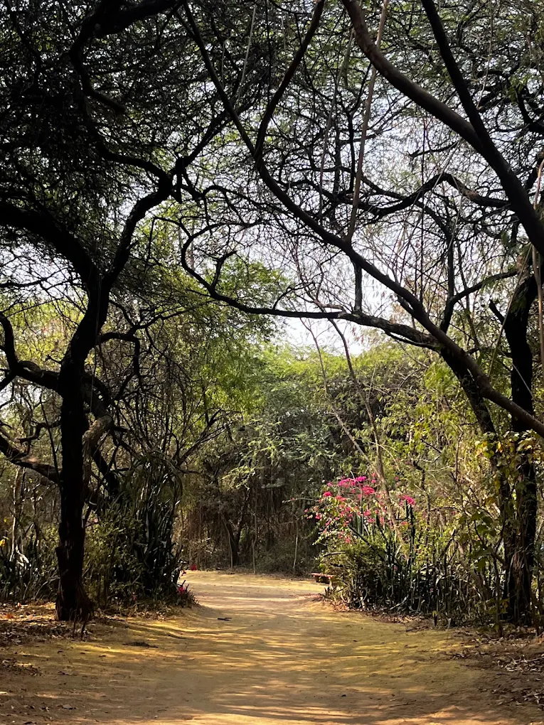 Jahanpanah City Forest, photo 4 of 8