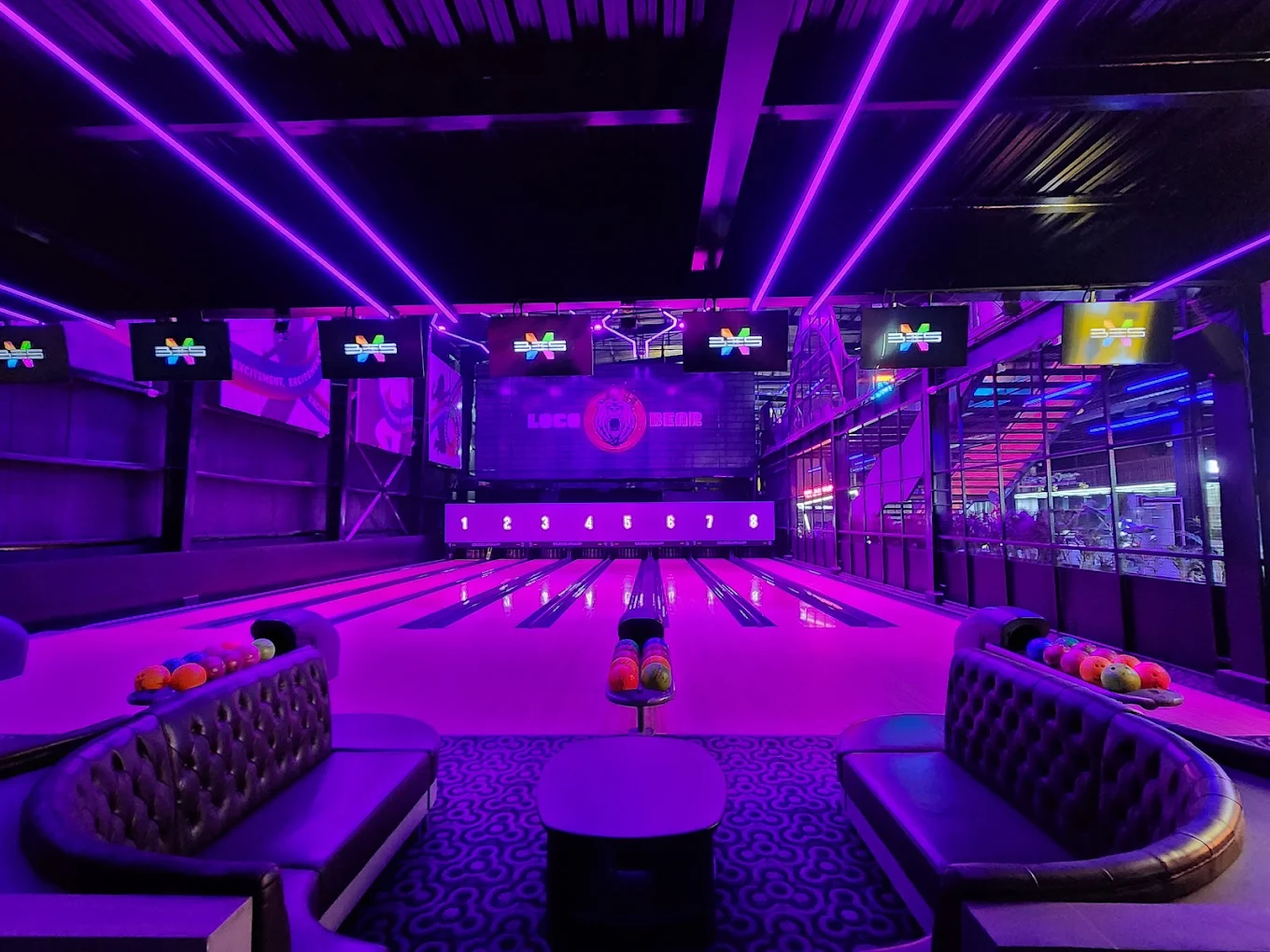 Loco Bear - The Ultimate Entertainment Hub, photo 2 of 9