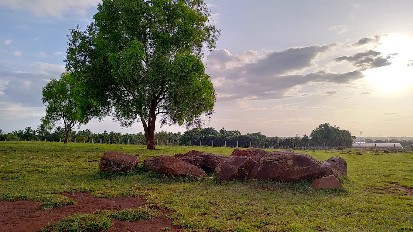 Hesaraghatta, Karnataka, photo 2