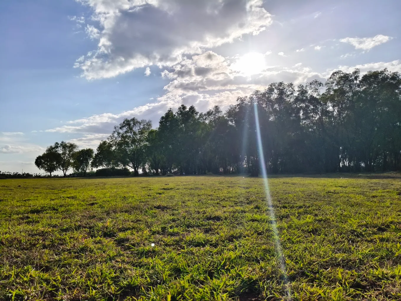 Hesaraghatta Grasslands, photo 4 of 5