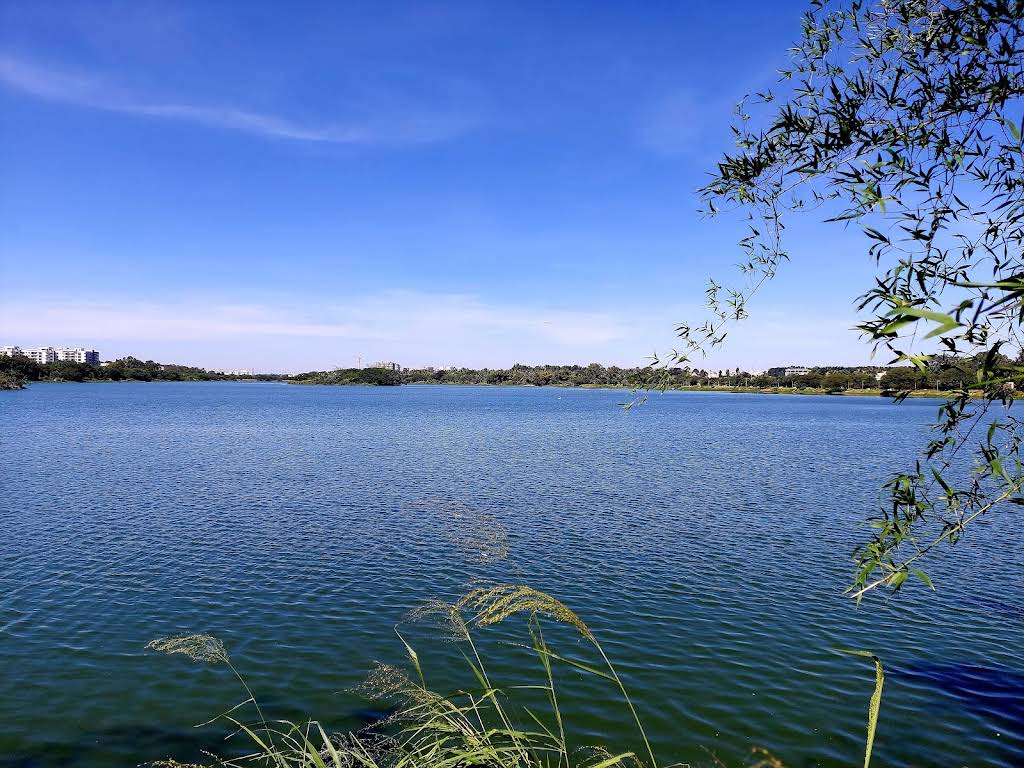 Hesaraghatta, Karnataka, photo 4