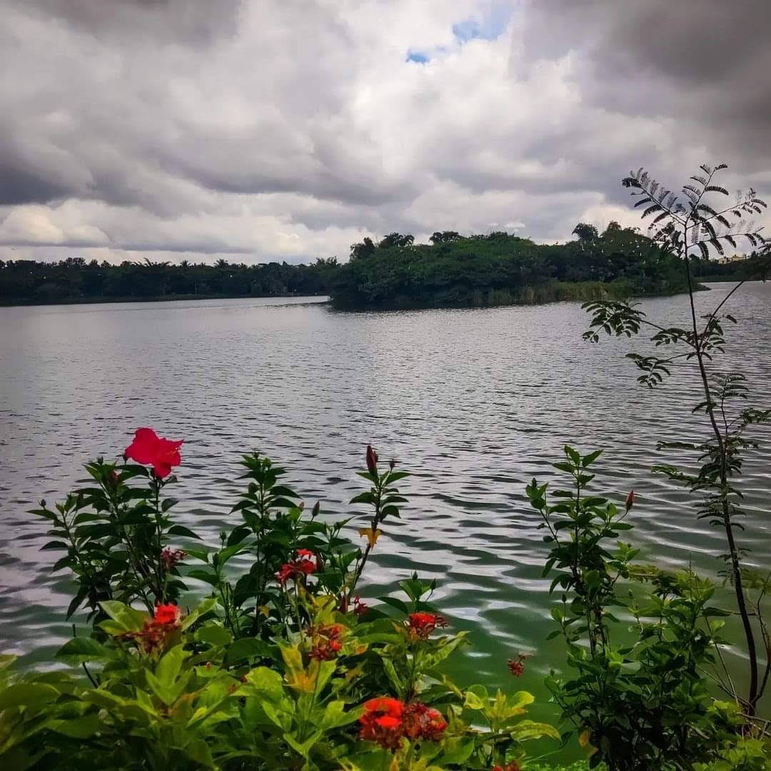 Jakkur Lake, photo 4 of 8