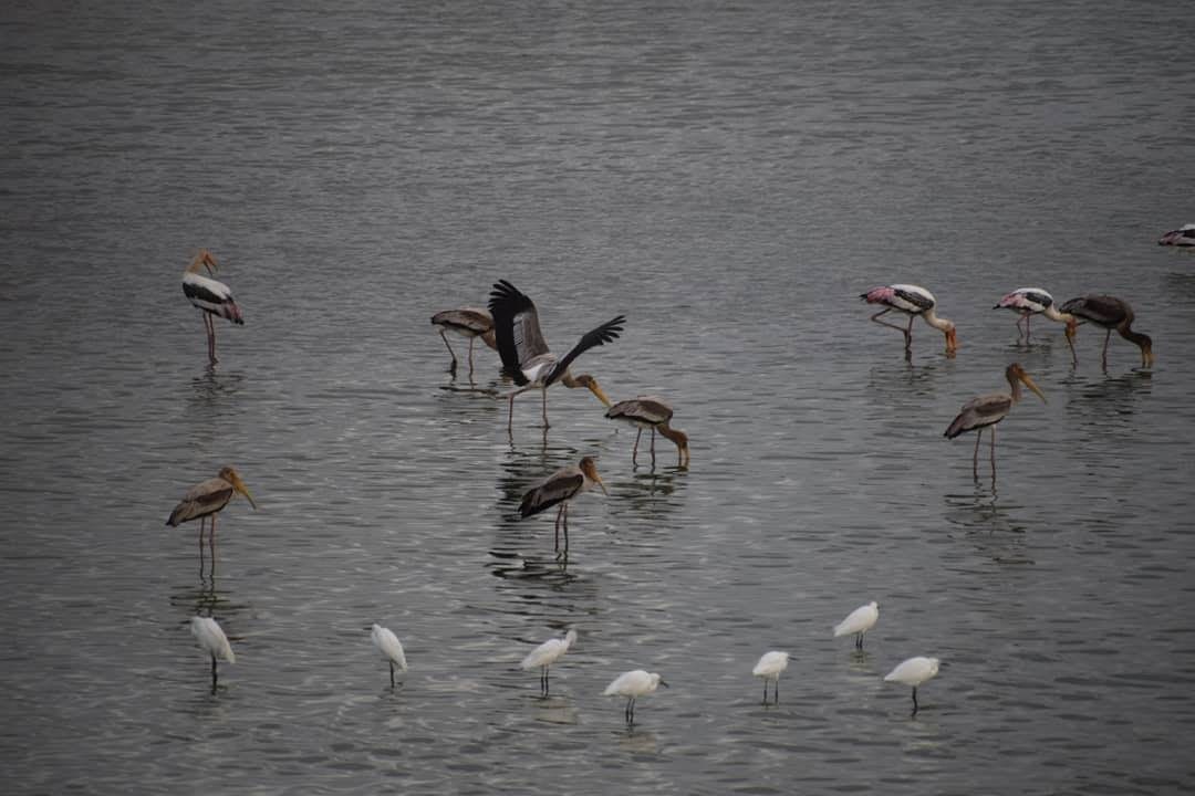 Begur Lake, photo 4 of 5