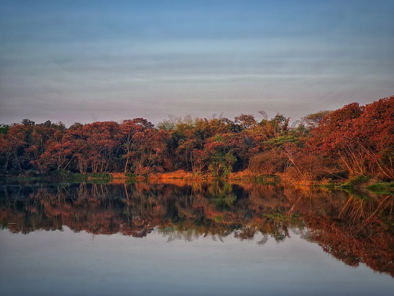 Hebbal Lake, photo 3 of 7