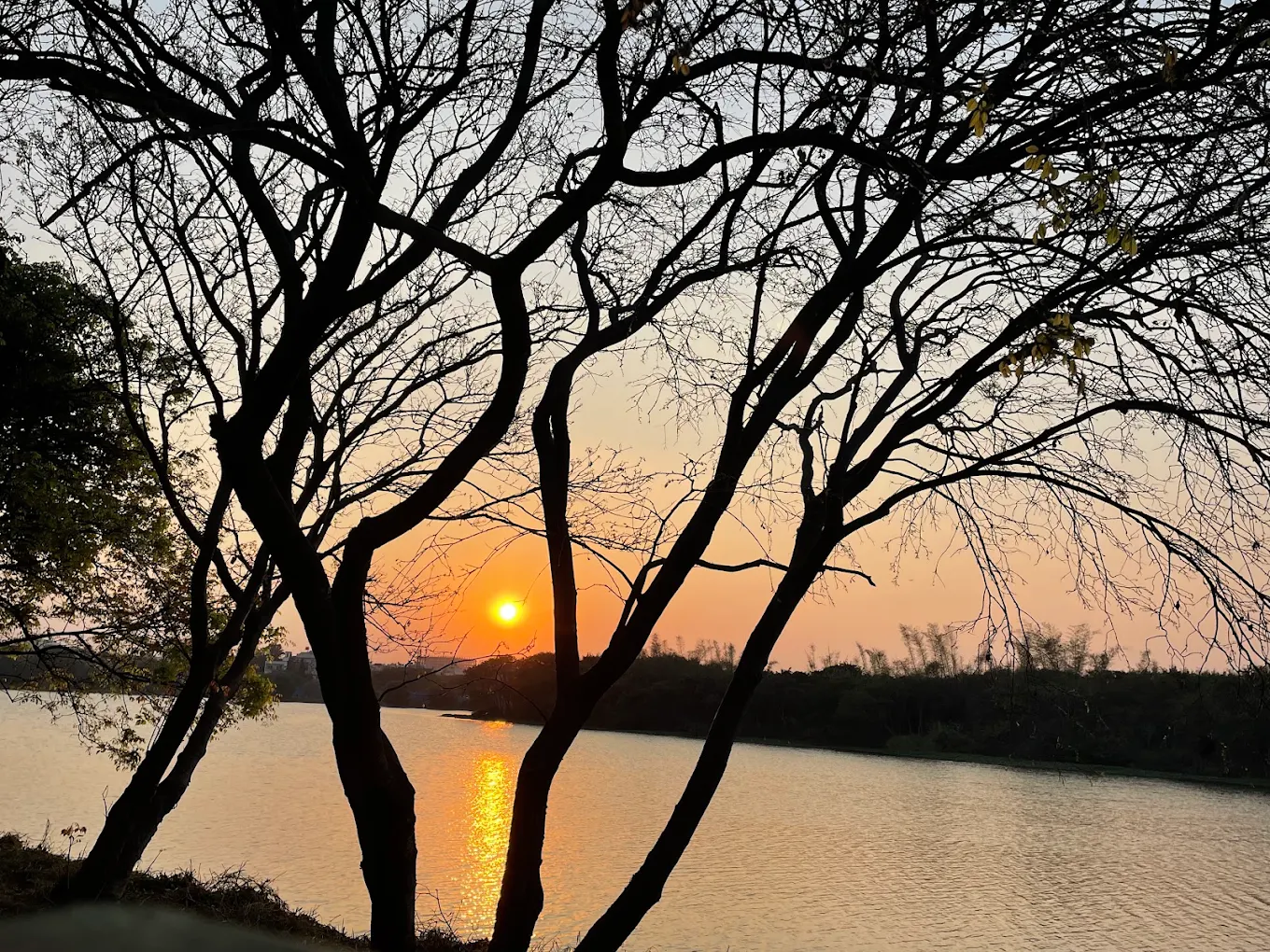 Agara Lake, photo 2 of 8