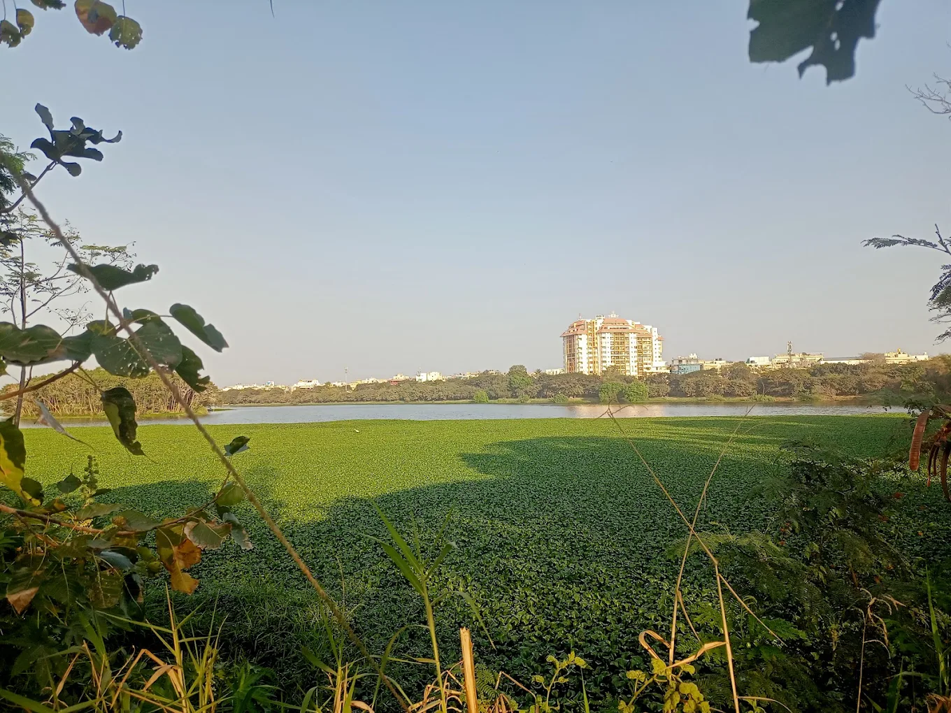 Agara Lake, photo 3 of 8