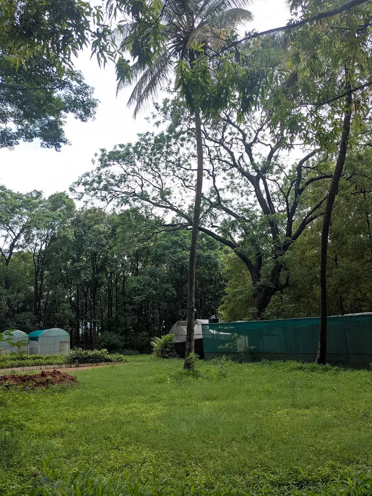 Doresanipalya Forest, photo 1 of 6