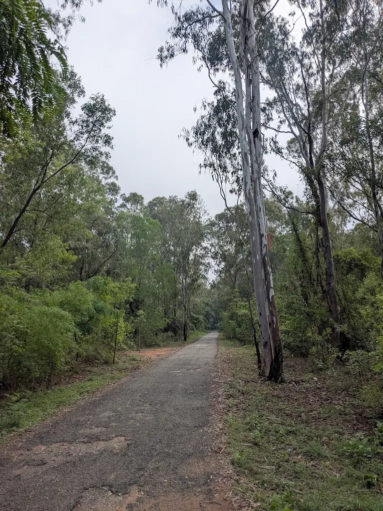 Doresanipalya Forest, photo 2 of 6