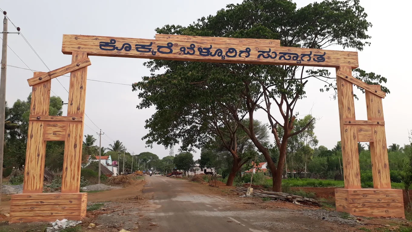 Kokkare Belluru Bird Sanctuary, photo 3 of 3