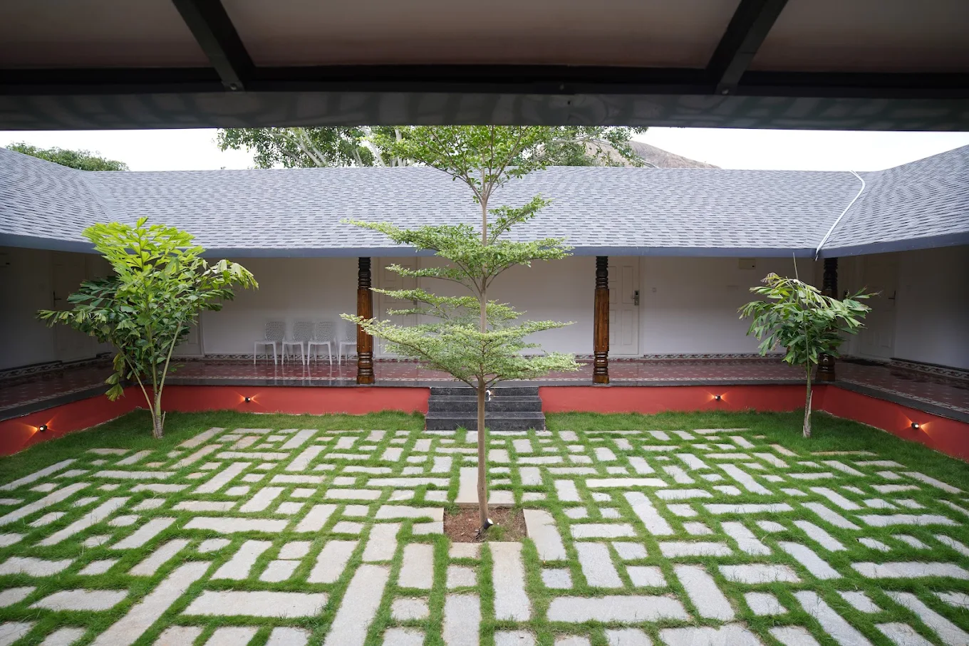 Q Mango Forest, photo 2 of 13