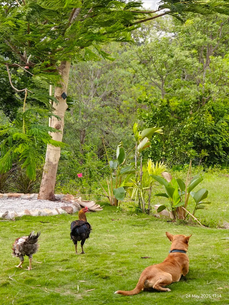 Hidden Eden Farmstays, photo 1 of 11
