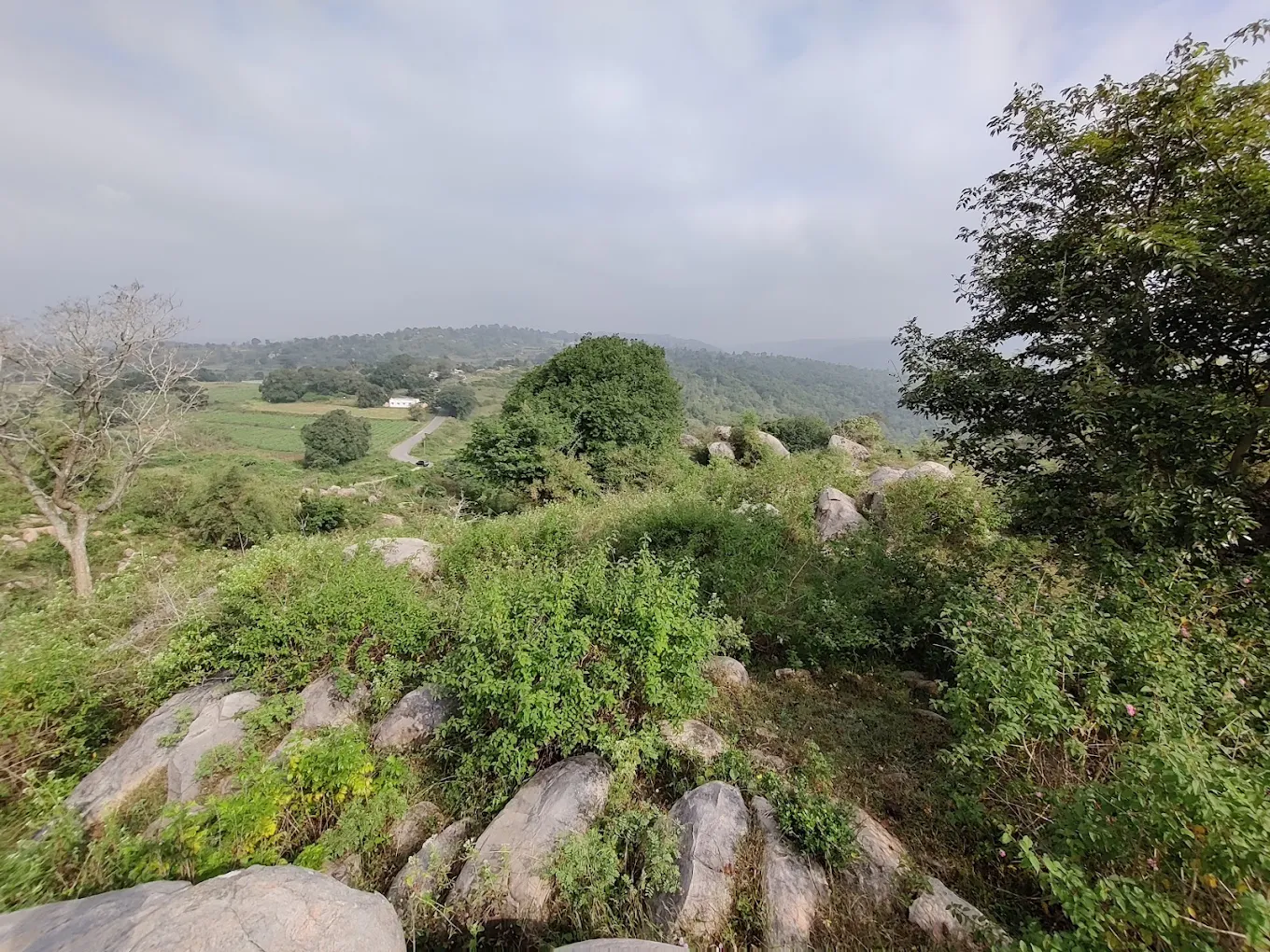 Hidden Eden Farmstays, photo 3 of 11