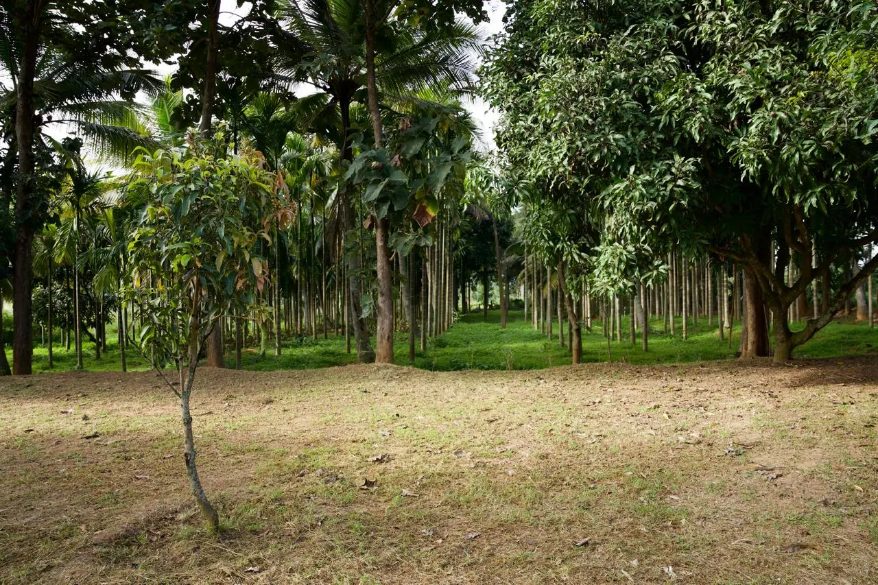 Samruddhi Orchards, photo 1 of 10
