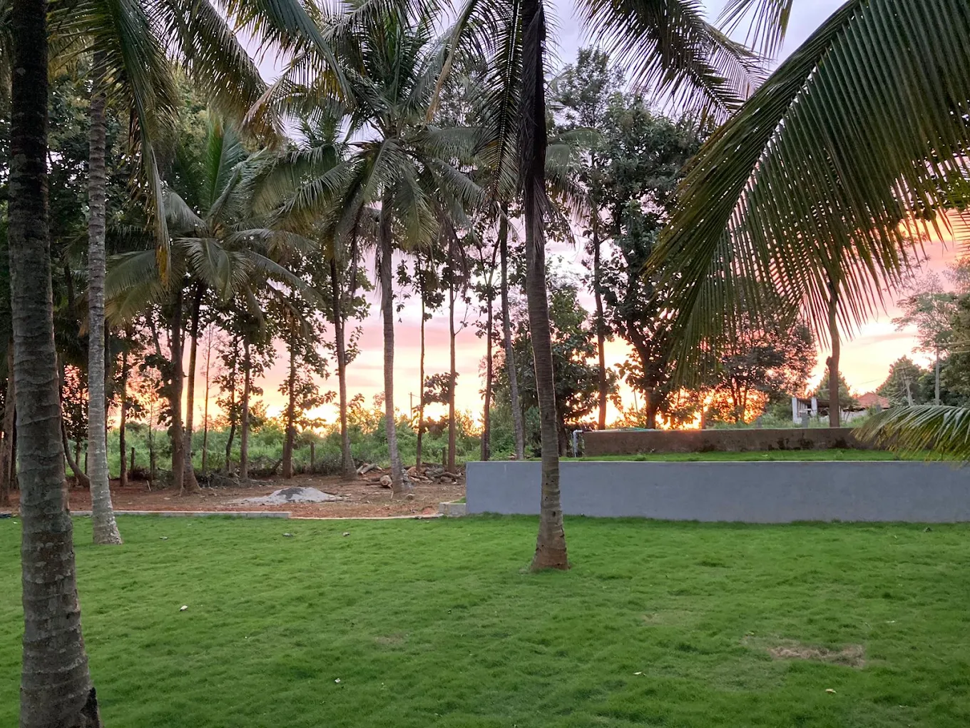 Samruddhi Orchards, photo 2 of 10