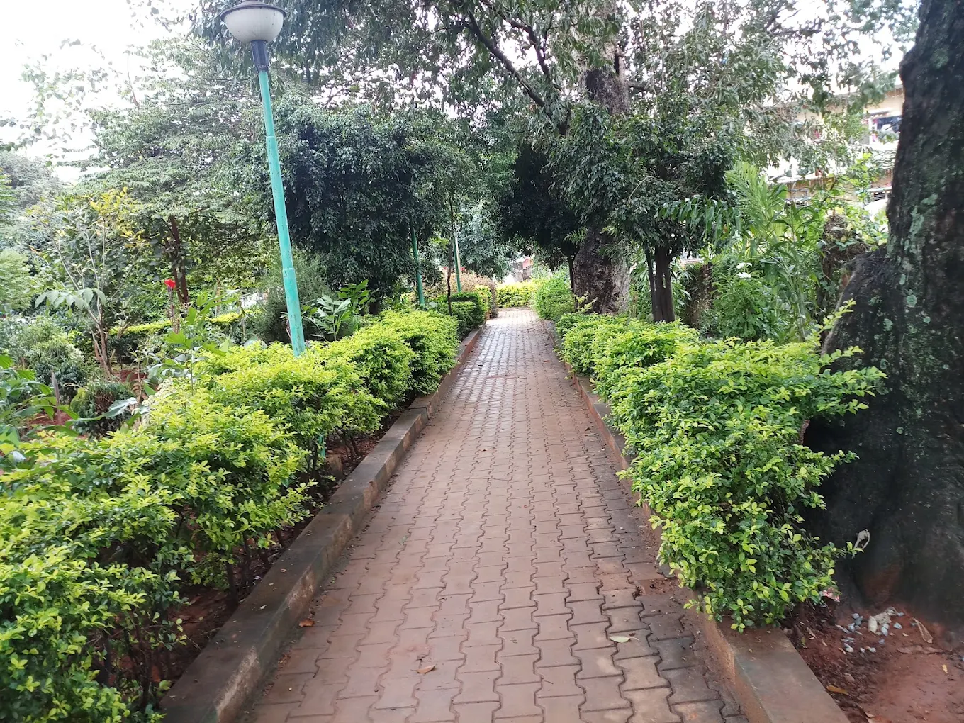 Kalkere Udyanavana, photo 1 of 6