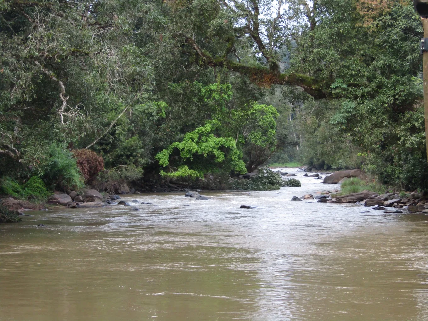 Coorg River Rock Camping, photo 3 of 9