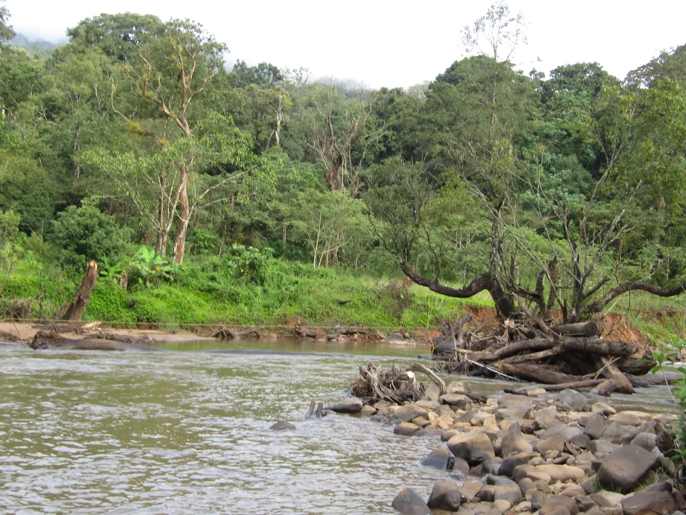 Coorg River Rock Camping, photo 4 of 9