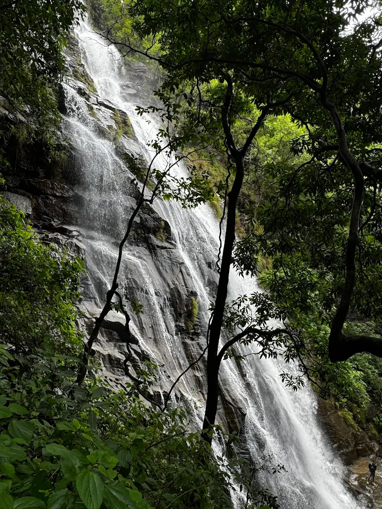 Bee Falls, photo 2 of 8