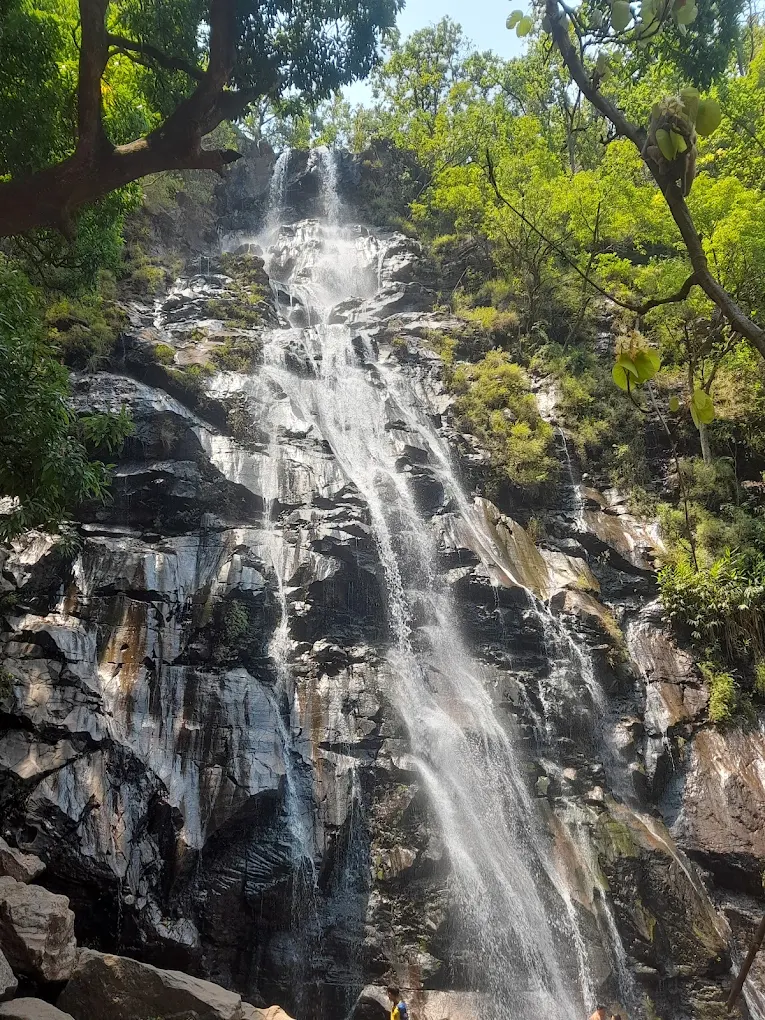 Bee Falls, photo 4 of 8