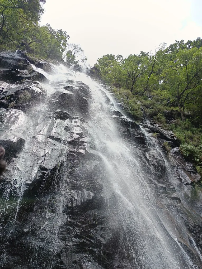 Bee Falls, photo 1 of 8