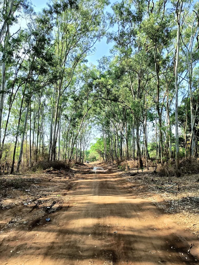 Handi Khoh, MP, photo 3 of 9
