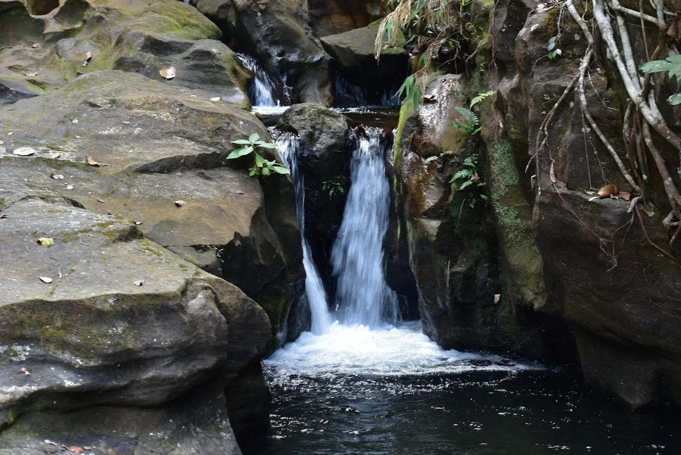 Duchess Fall, photo 3 of 8
