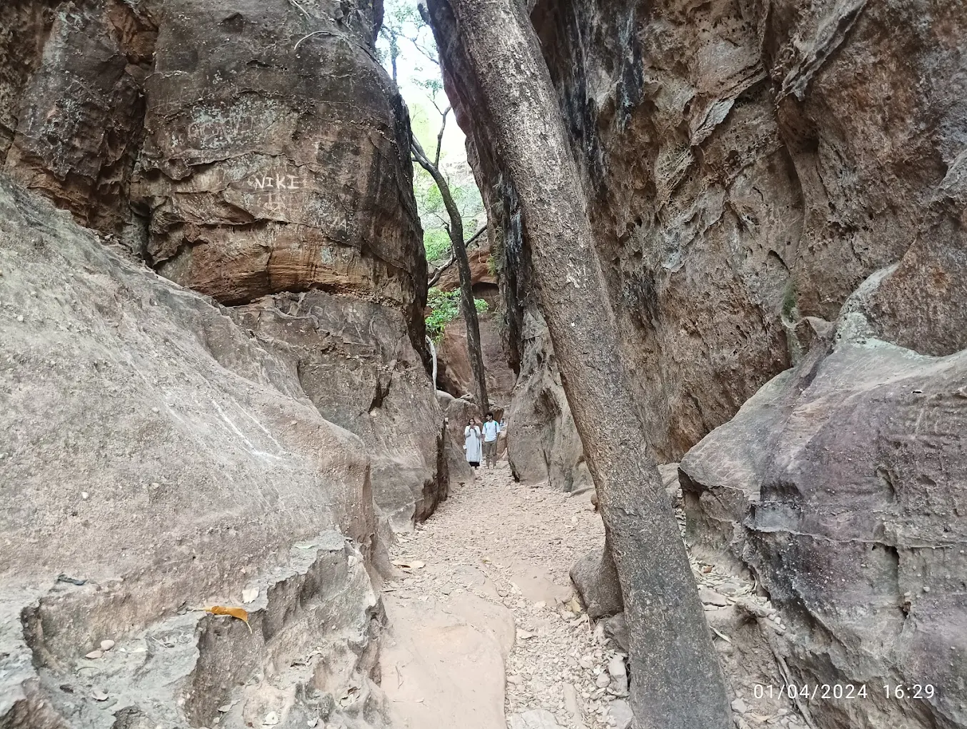 Reechgarh Abode Of Bears, photo 3 of 9
