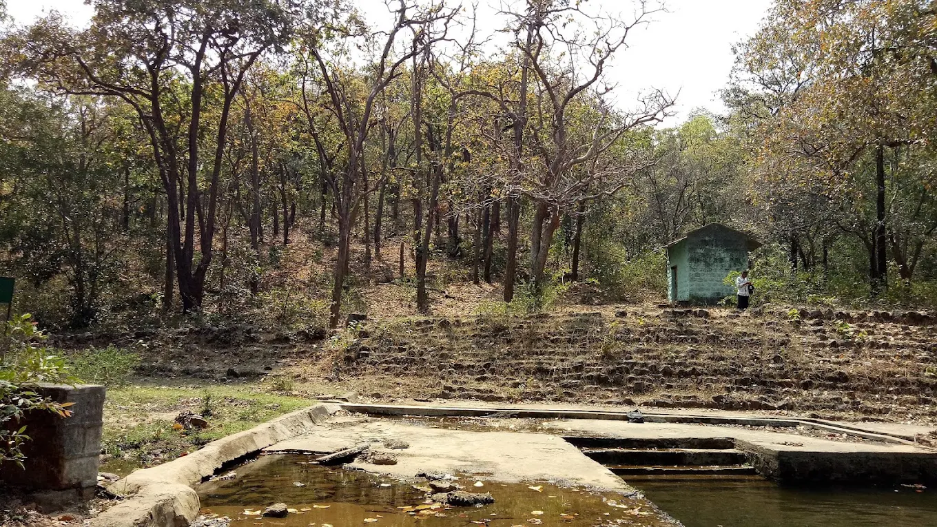 Pachmarhi, Madhya Pradesh, photo 4