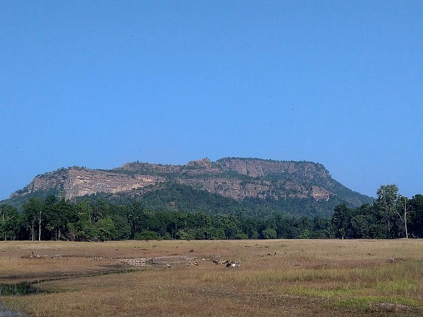 Bandhavgarh National Park, Madhya Pradesh