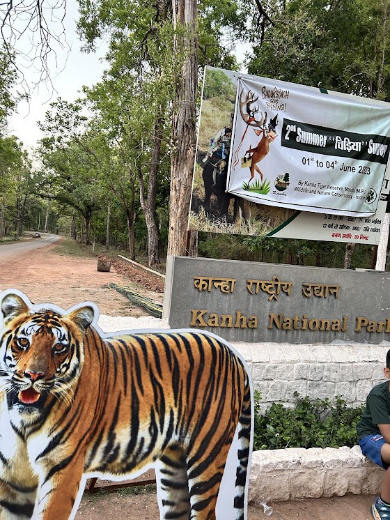 Jungle safari kanha, photo 2 of 8