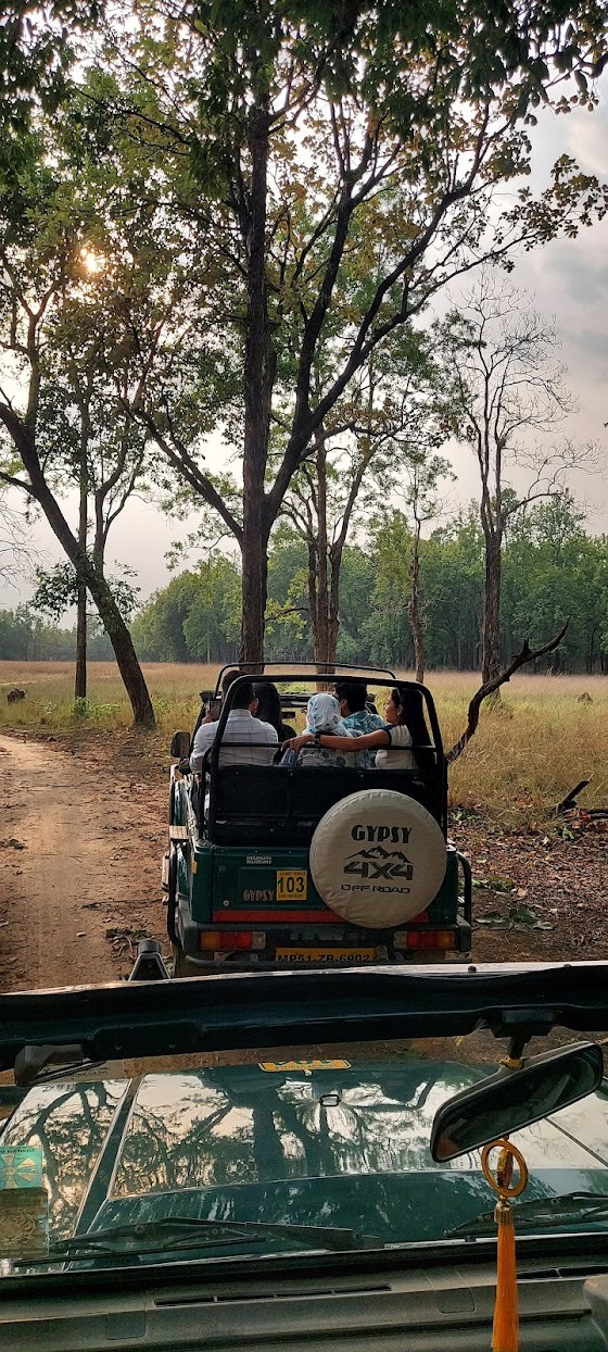 Jungle safari kanha, photo 4 of 8