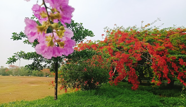 Udupi, Karnataka, photo 4