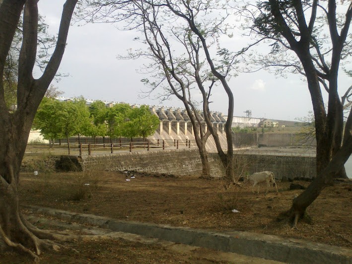 Kanha Tiger Reserve, Madhya Pradesh, photo 3