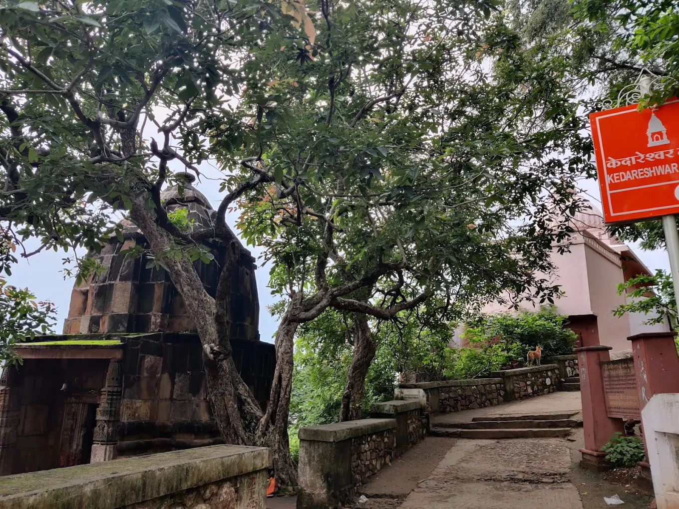Kedareshwar Temple, photo 3 of 7