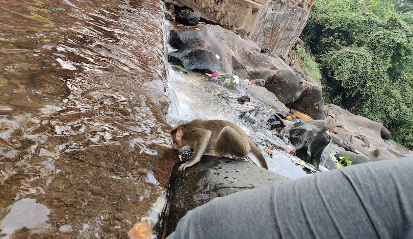 Kallathigiri Falls, photo 4 of 7