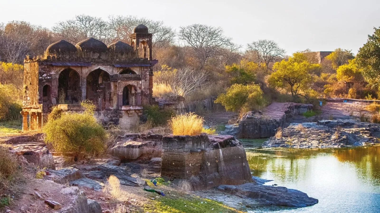 Trinetra Ganesh Mandir Ranthambore fort, photo 1 of 10
