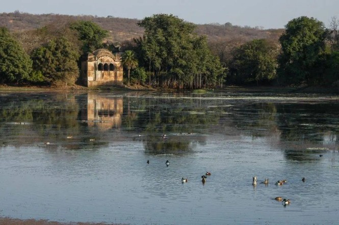 Padma Talao, photo 2 of 6