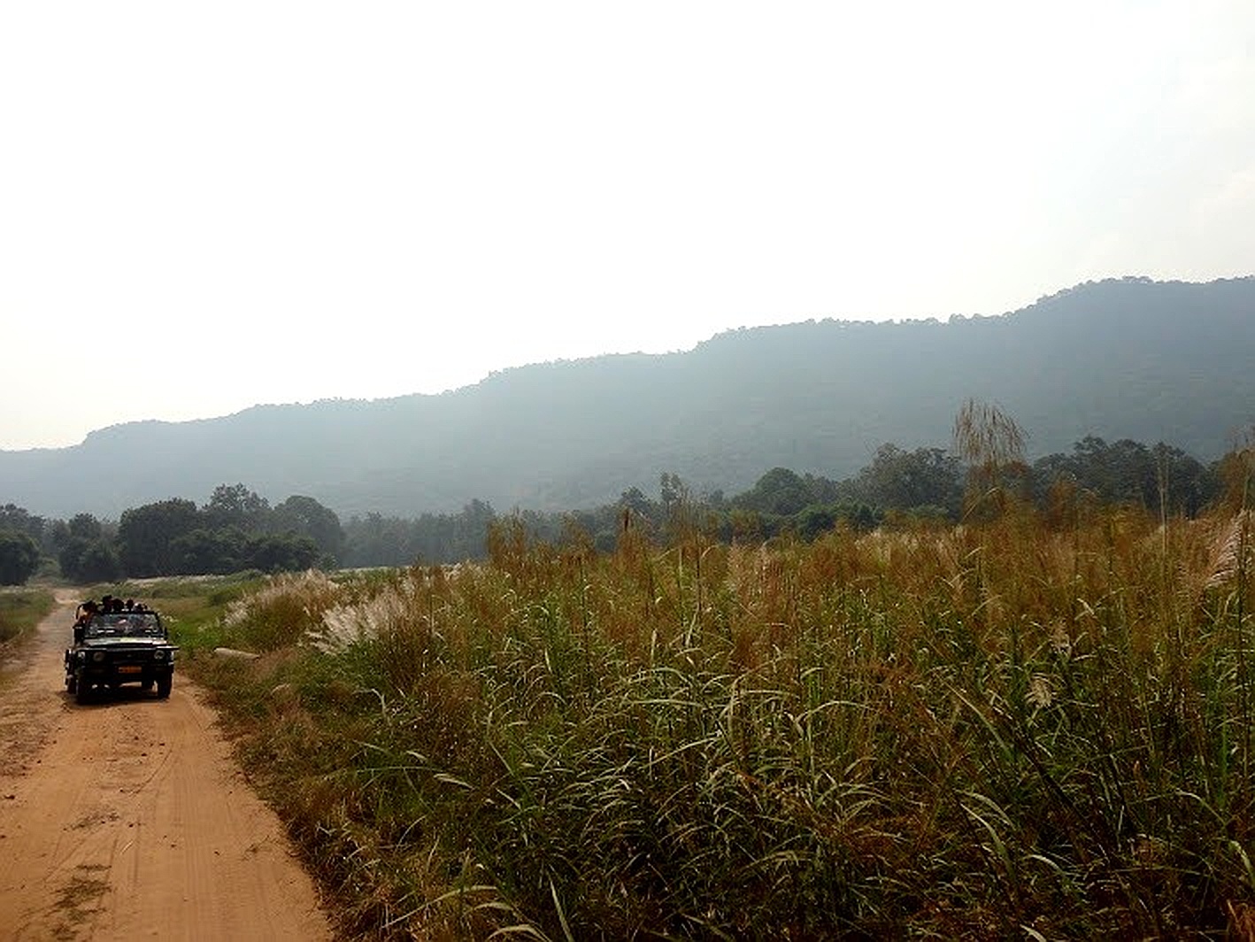 Tala Zone Safari Ground, photo 3 of 8