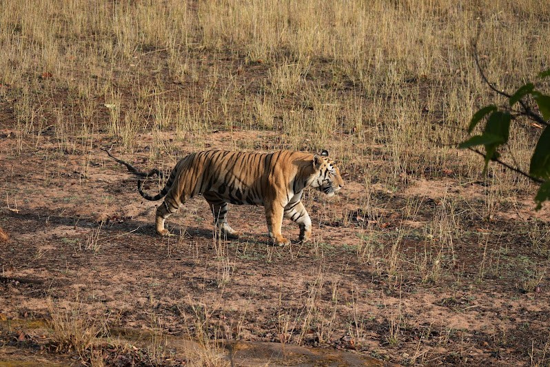 Tala Zone Safari Ground, photo 2 of 8