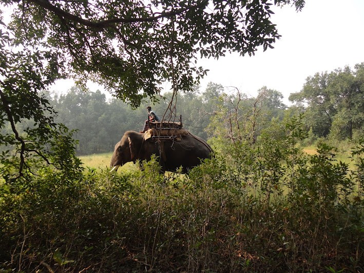 Tala Zone Safari Ground, photo 4 of 8