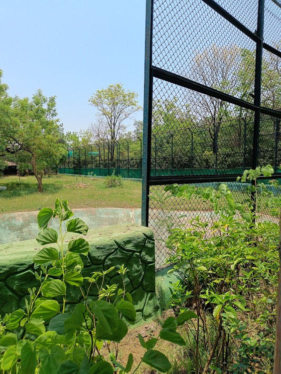 Nandanvan Jungle Safari, Nava Raipur, photo 4 of 9
