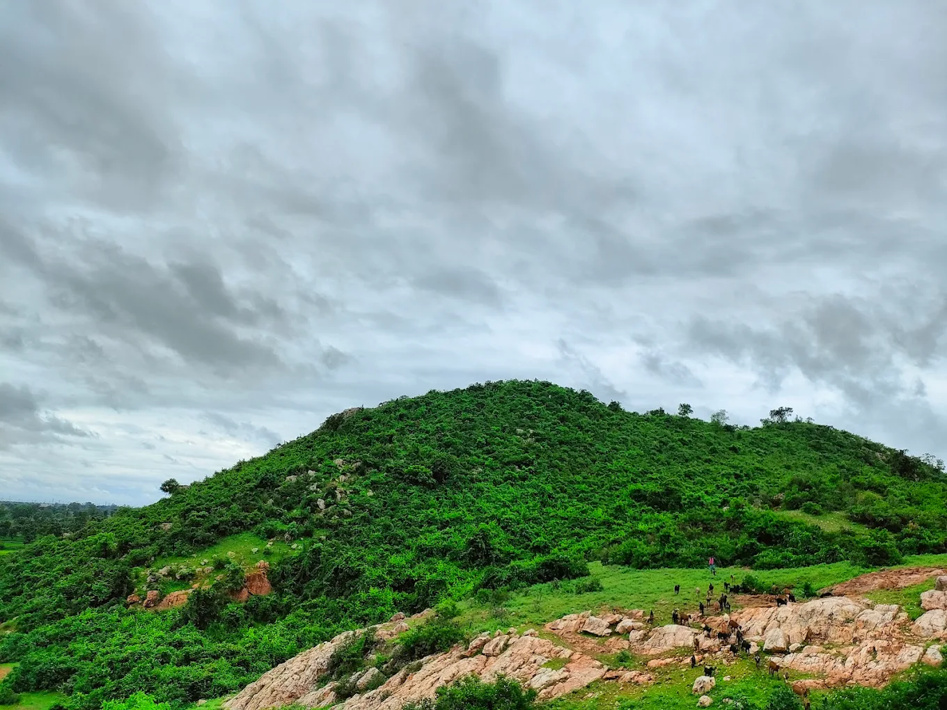 Bilaspur, Chhattisgarh, photo 4