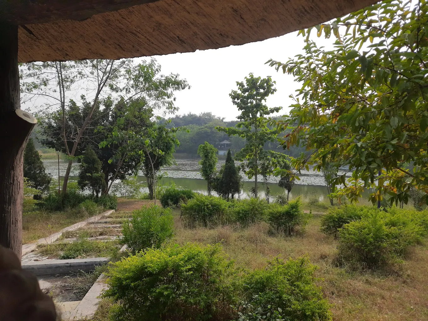Bilaspur, Chhattisgarh, photo 3