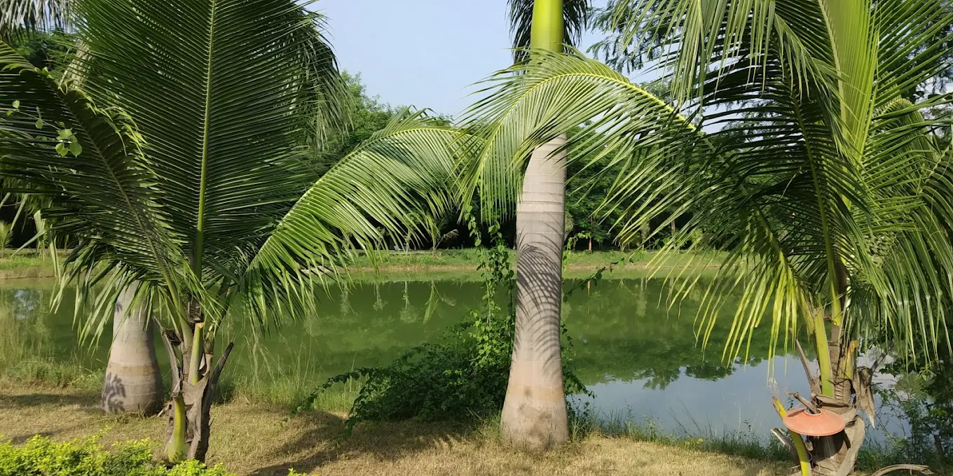 Bilasa Taal Vasundhara Udyan, photo 2 of 7